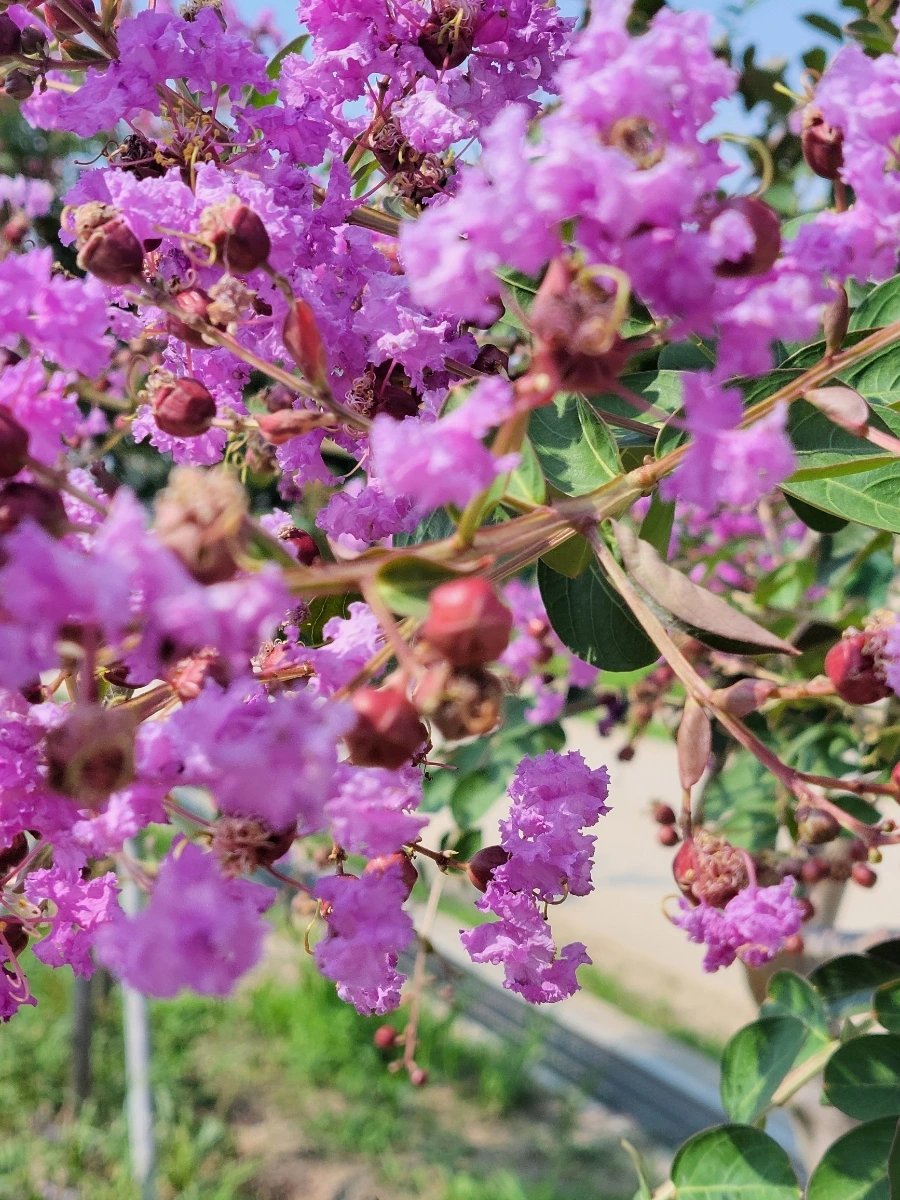 900%EF%BC%BF20250729%EF%BC%BF151202.jpg?type=w966