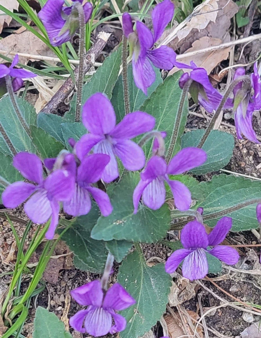 900%EF%BC%BF20250408%EF%BC%BF141834.jpg?type=w966