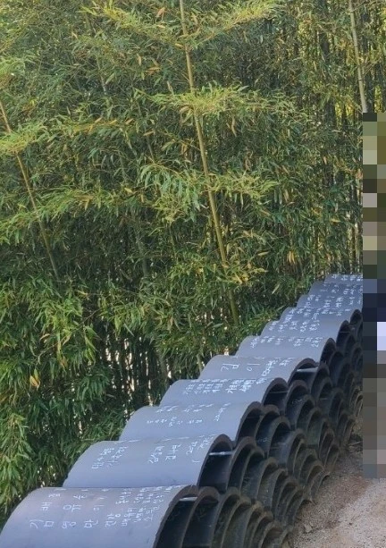 1750193724633.jpg?type=w966