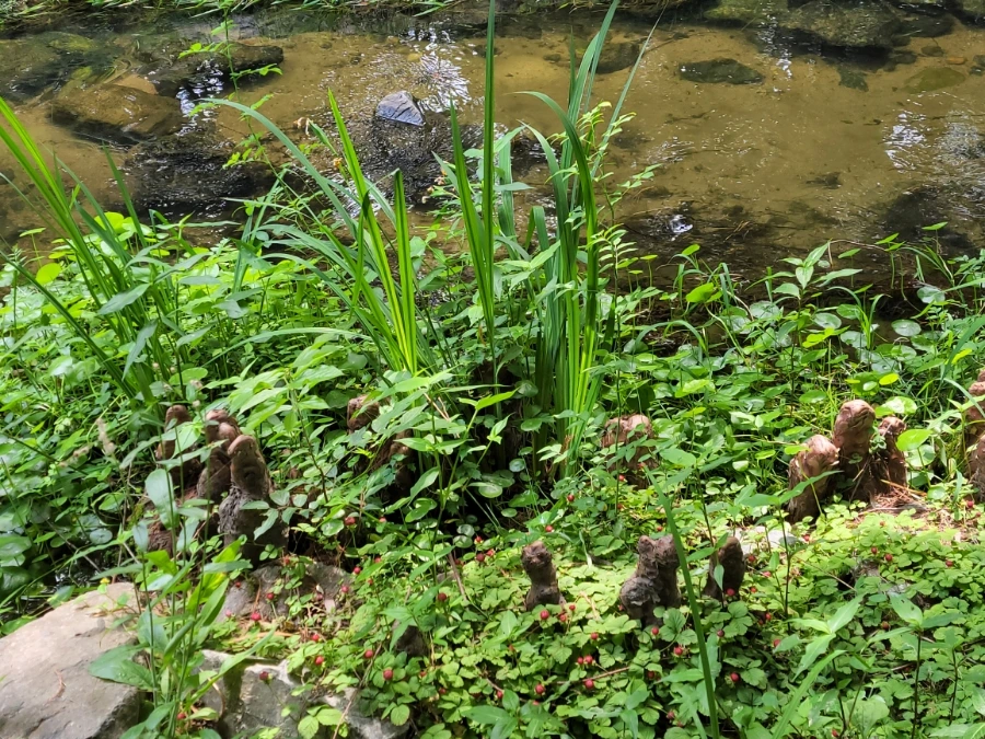 900%EF%BC%BF20250613%EF%BC%BF101353.jpg?type=w966