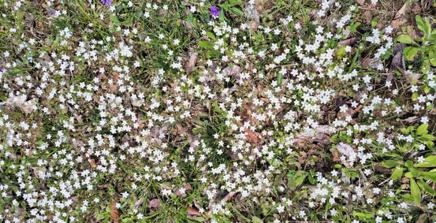 900%EF%BC%BF1745360217749.jpg?type=w966