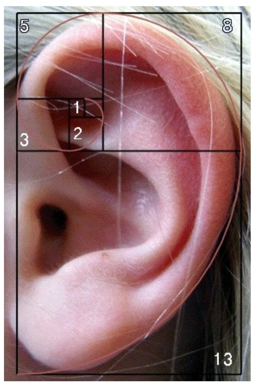 SE-20c44b10-5474-11f0-921e-2b7d1bce90c8.jpg?type=w966