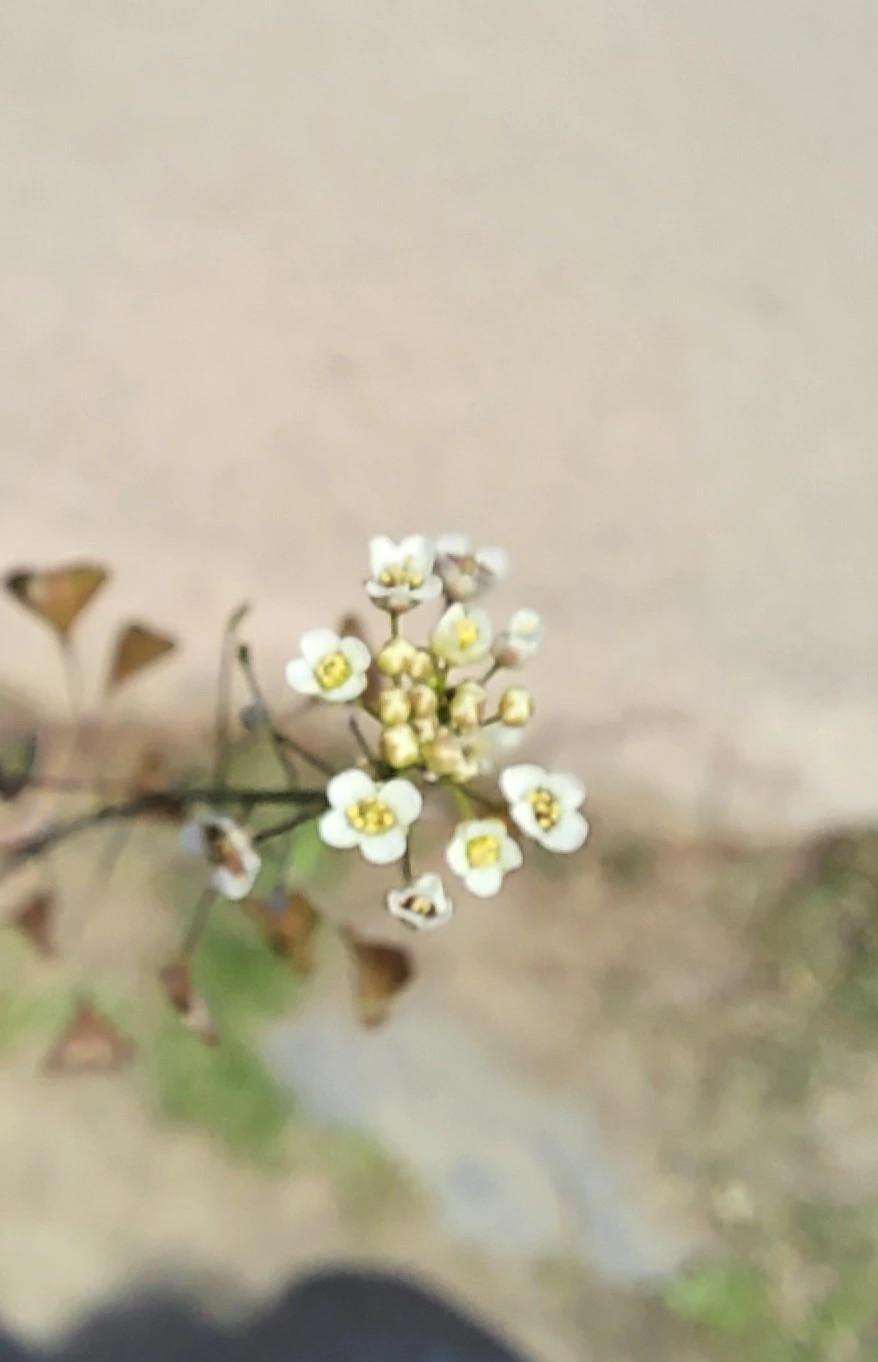 20250426%EF%BC%BF144233.jpg?type=w966