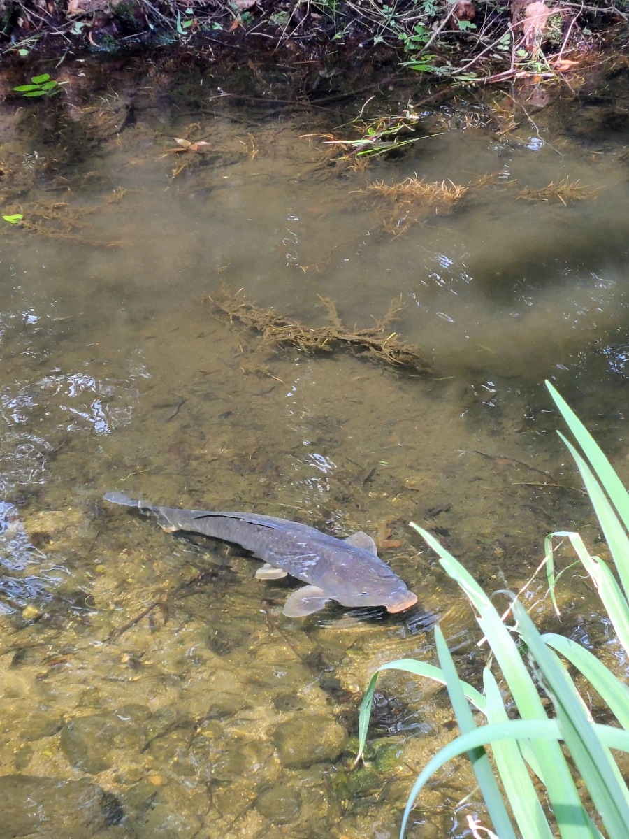 900%EF%BC%BF20250613%EF%BC%BF095921.jpg?type=w966