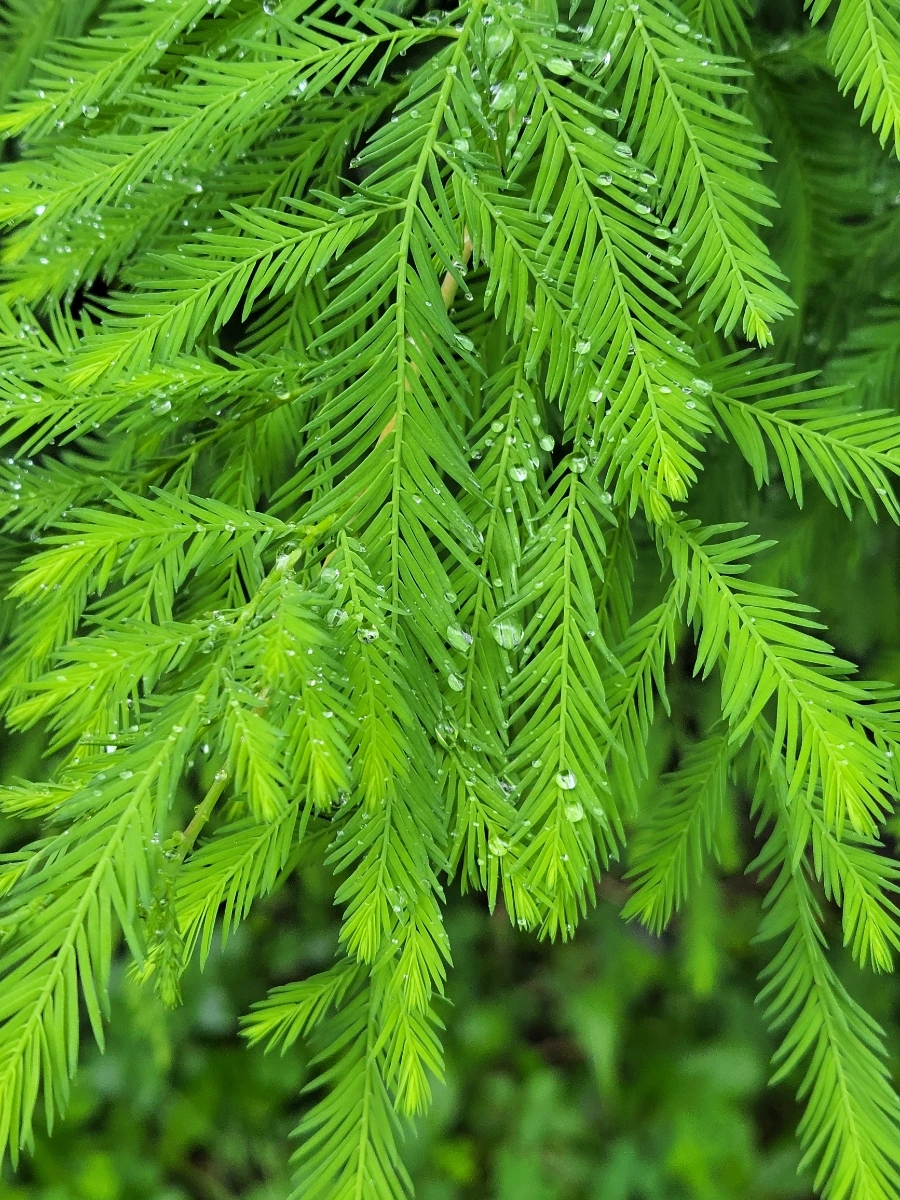 900%EF%BC%BF20250720%EF%BC%BF082718.jpg?type=w966