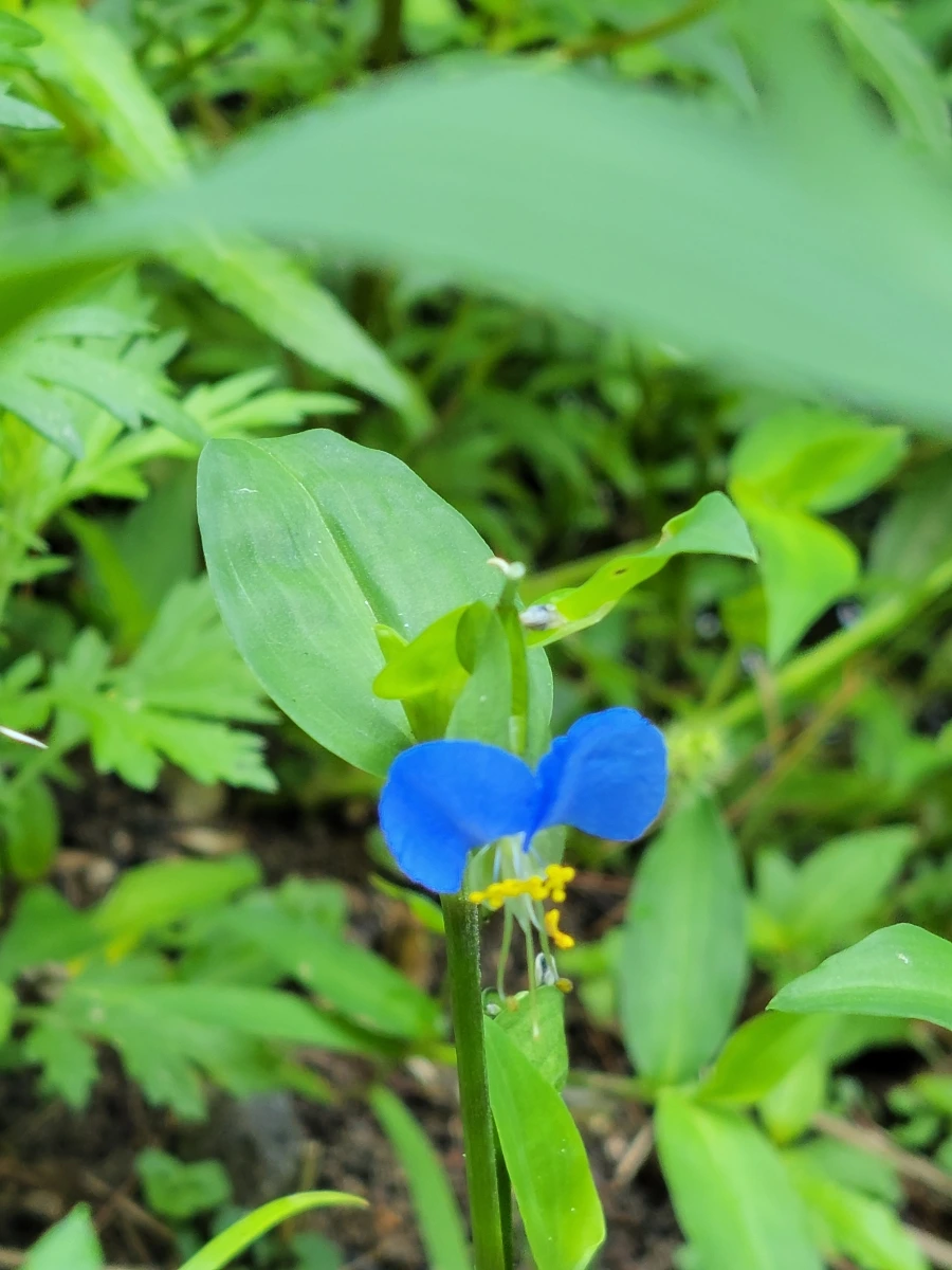 900%EF%BC%BF20250805%EF%BC%BF083208.jpg?type=w966