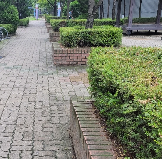 SE-1d5a1ac5-5224-11f0-996d-a94bf06c6b85.jpg?type=w966