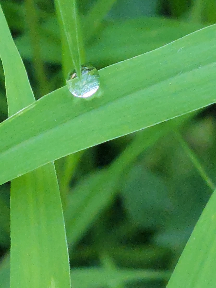 900%EF%BC%BF20250726%EF%BC%BF060435.jpg?type=w966