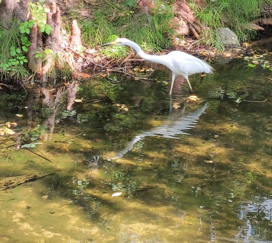 900%EF%BC%BF1749589387392.jpg?type=w966