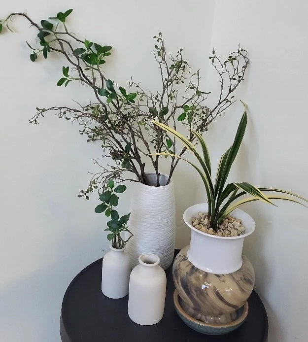 1740435932579.jpg?type=w966