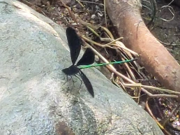 900%EF%BC%BF20250728%EF%BC%BF133054.jpg?type=w966