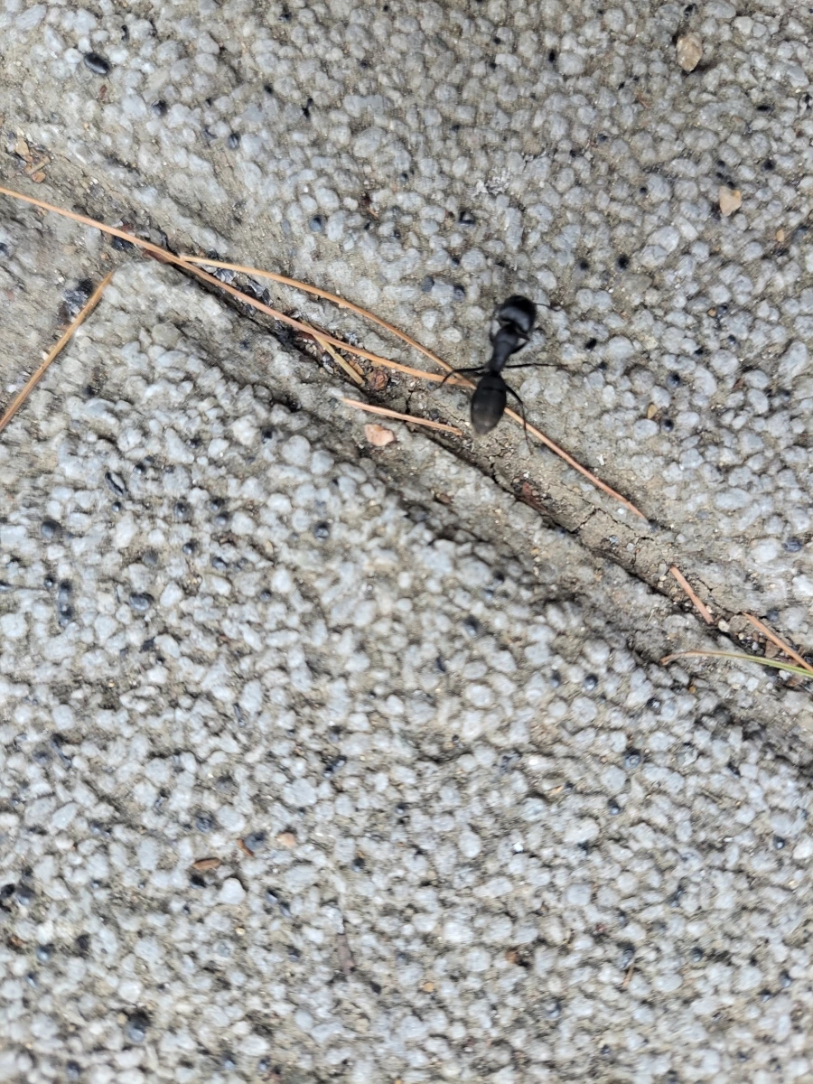 900%EF%BC%BF20250704%EF%BC%BF131958.jpg?type=w966