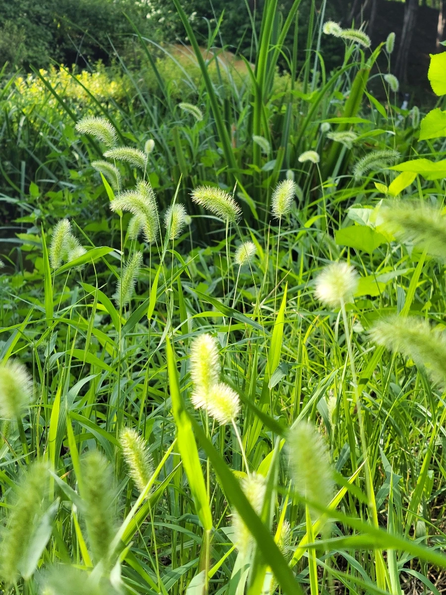 900%EF%BC%BF20250805%EF%BC%BF083500.jpg?type=w966