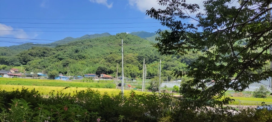 900%EF%BC%BF20240831%EF%BC%BF124527.jpg?type=w966