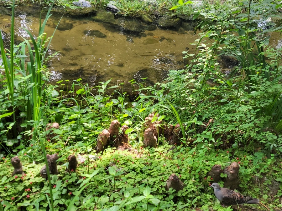 900%EF%BC%BF20250613%EF%BC%BF101400.jpg?type=w966