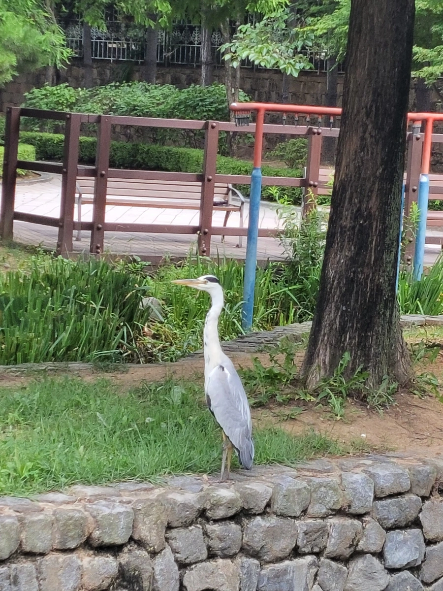 900%EF%BC%BF20250713%EF%BC%BF090831.jpg?type=w966