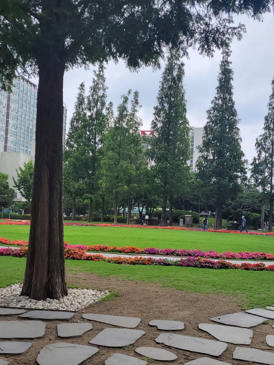 900%EF%BC%BF20250629%EF%BC%BF135712.jpg?type=w966