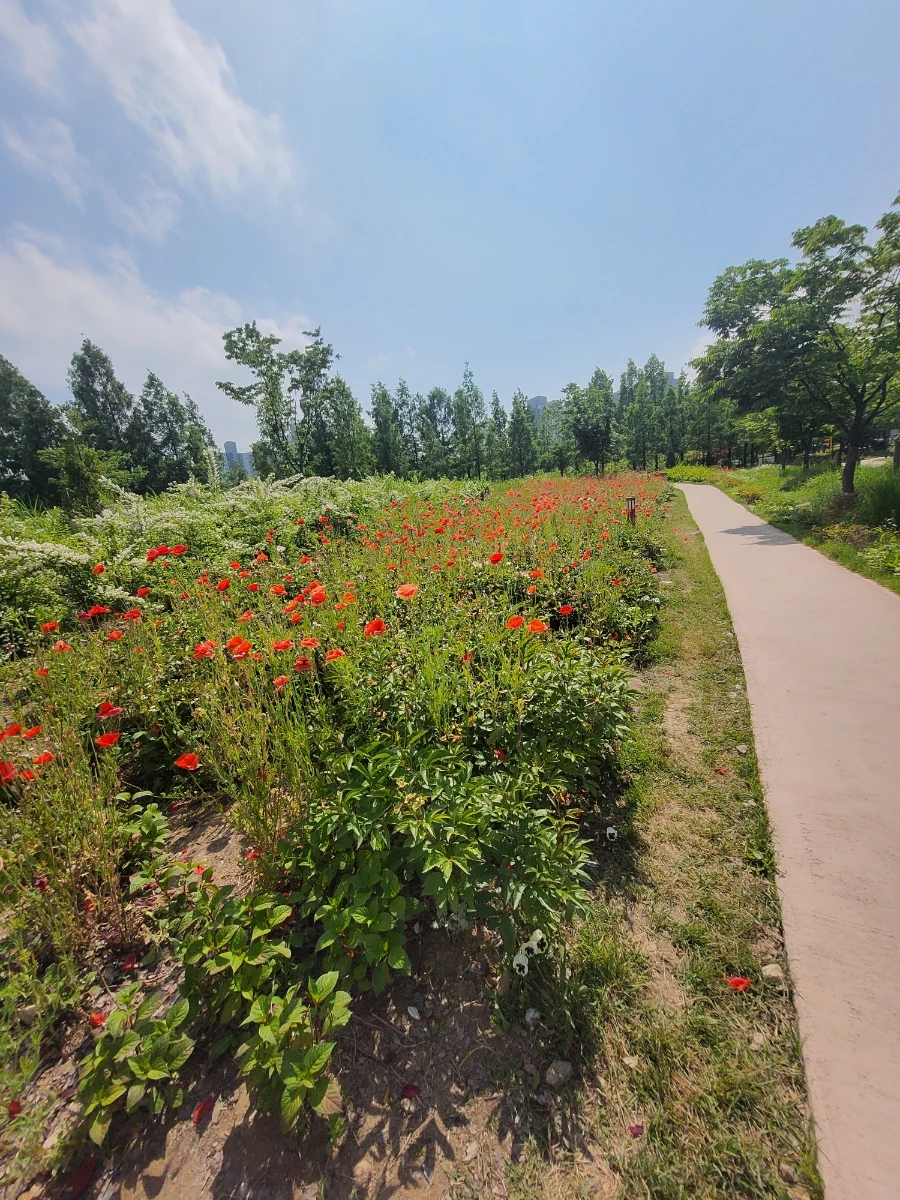 900%EF%BC%BF20250603%EF%BC%BF151342.jpg?type=w966