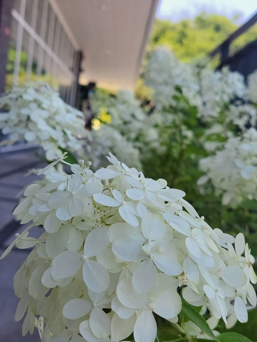 900%EF%BC%BF20250727%EF%BC%BF130944.jpg?type=w966