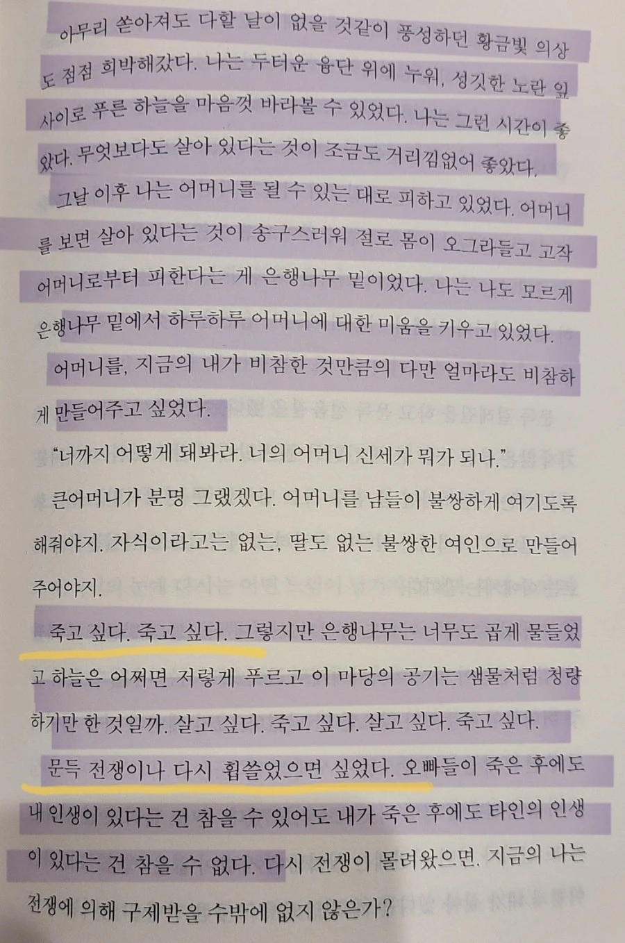 1740962250305.jpg?type=w966