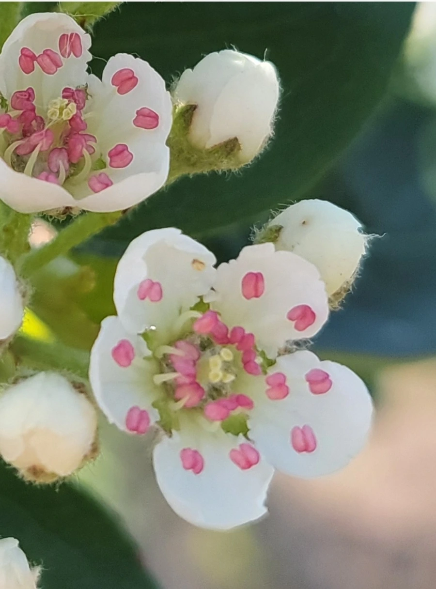 900%EF%BC%BF1745707136517.jpg?type=w966