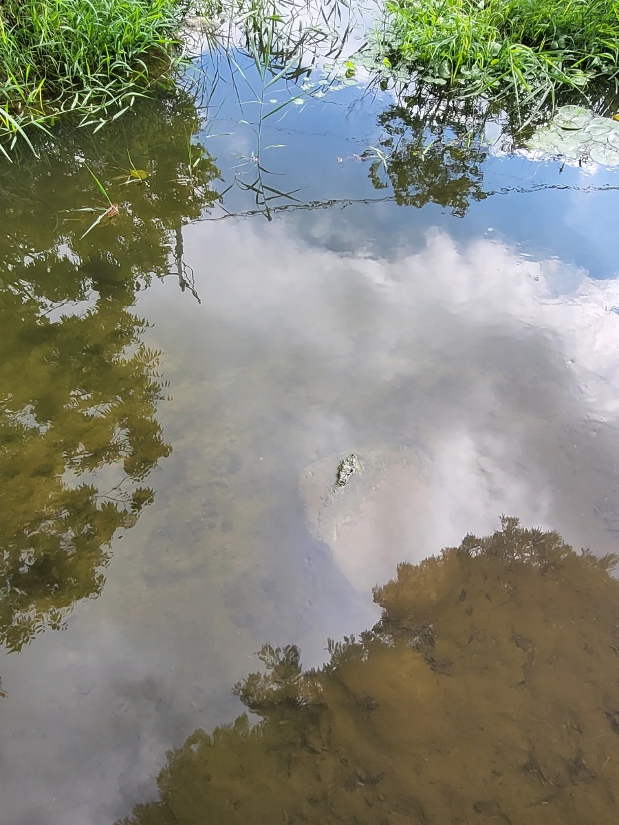 900%EF%BC%BF20250804%EF%BC%BF090921.jpg?type=w966