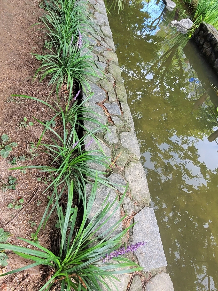 900%EF%BC%BF20250804%EF%BC%BF090941.jpg?type=w966