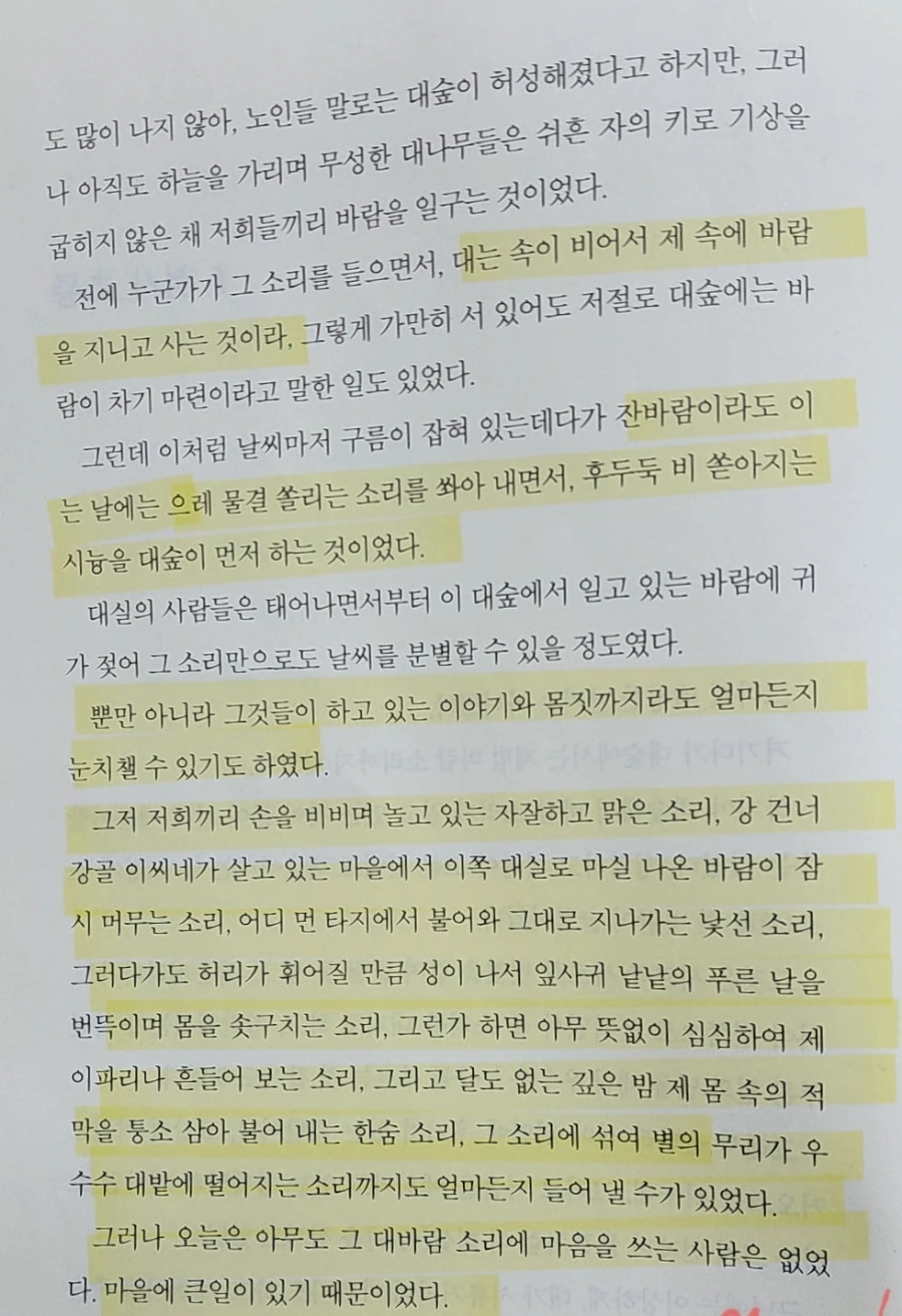 900%EF%BC%BF1742165507001.jpg?type=w966