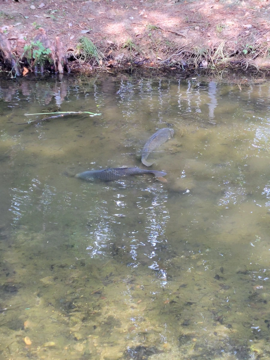 900%EF%BC%BF20250613%EF%BC%BF100002.jpg?type=w966