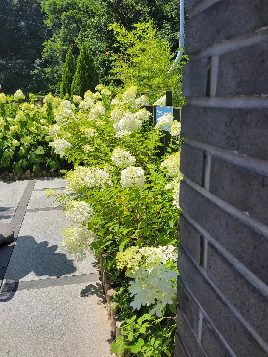 900%EF%BC%BF20250727%EF%BC%BF131308.jpg?type=w966