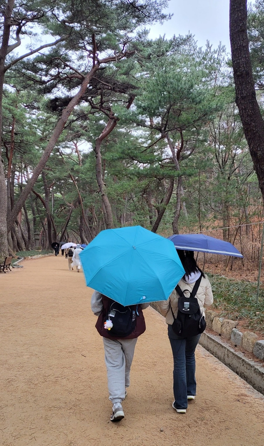 900%EF%BC%BF1742092068208.jpg?type=w966