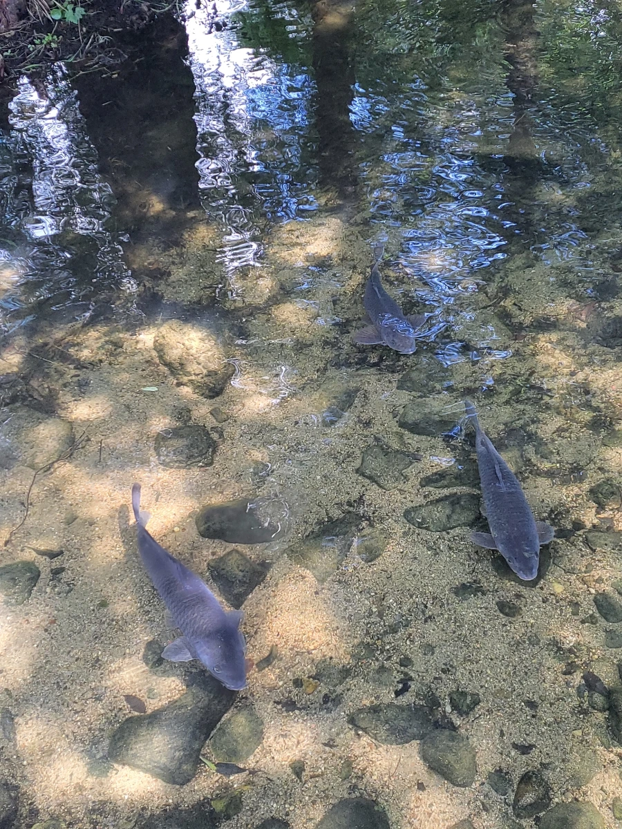 900%EF%BC%BF20250615%EF%BC%BF103059.jpg?type=w966