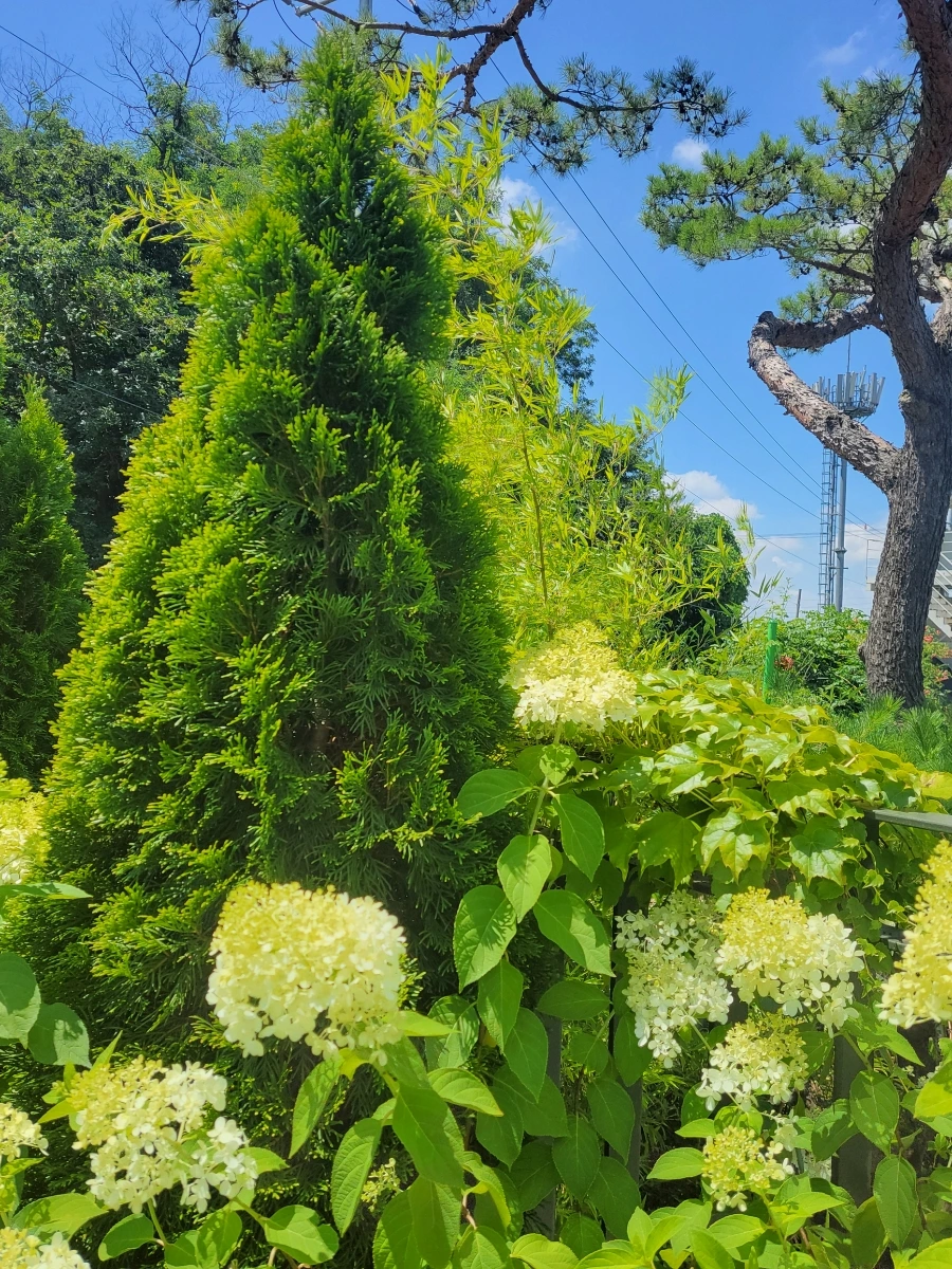 900%EF%BC%BF20250727%EF%BC%BF131355.jpg?type=w966