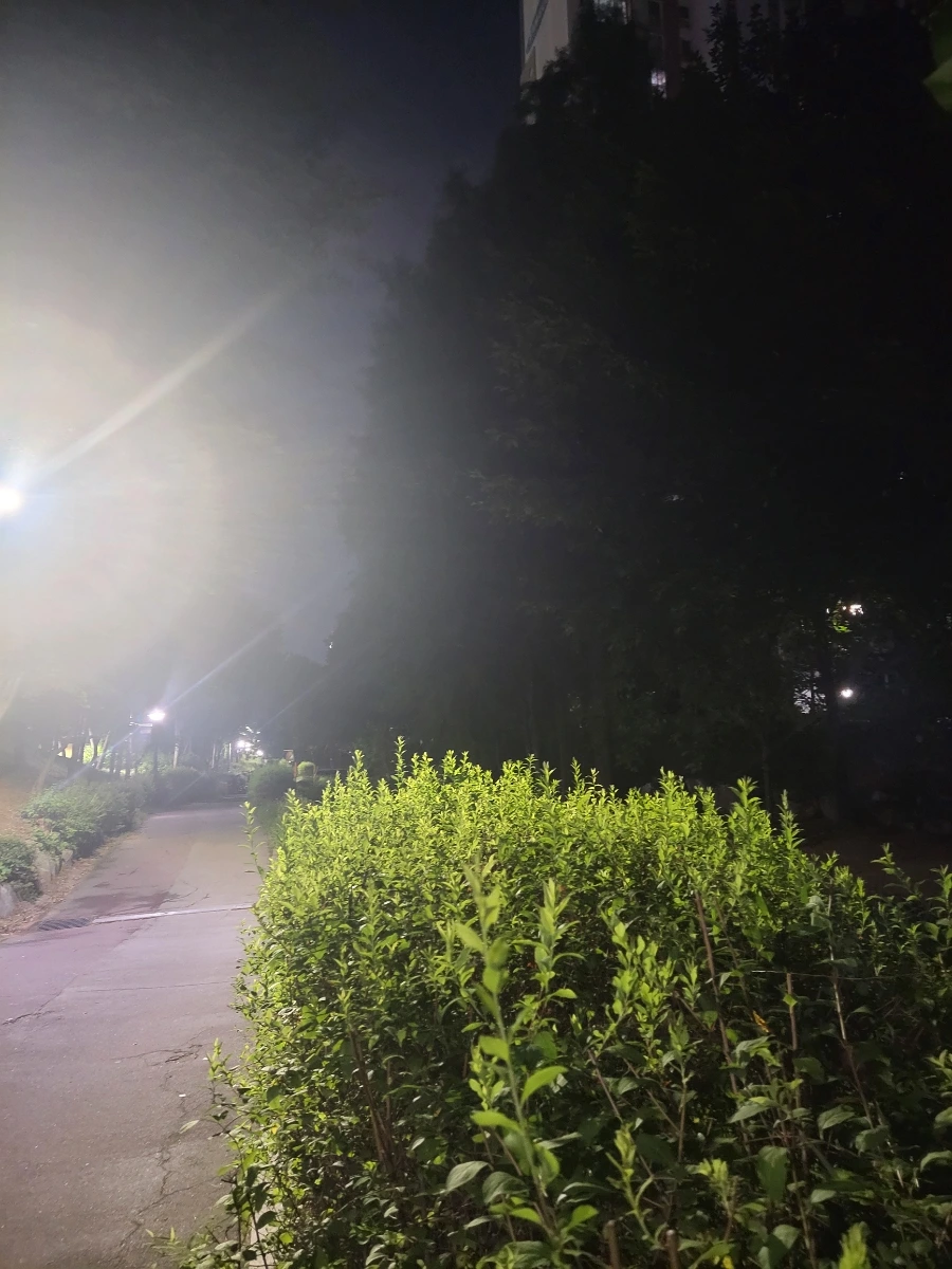 900%EF%BC%BF20250807%EF%BC%BF213550.jpg?type=w966