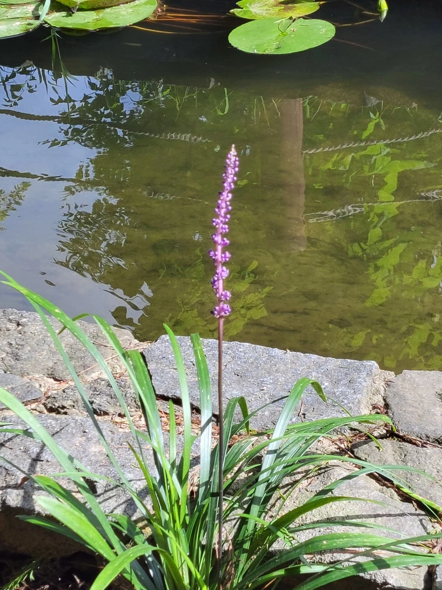 900%EF%BC%BF20250722%EF%BC%BF084842.jpg?type=w966