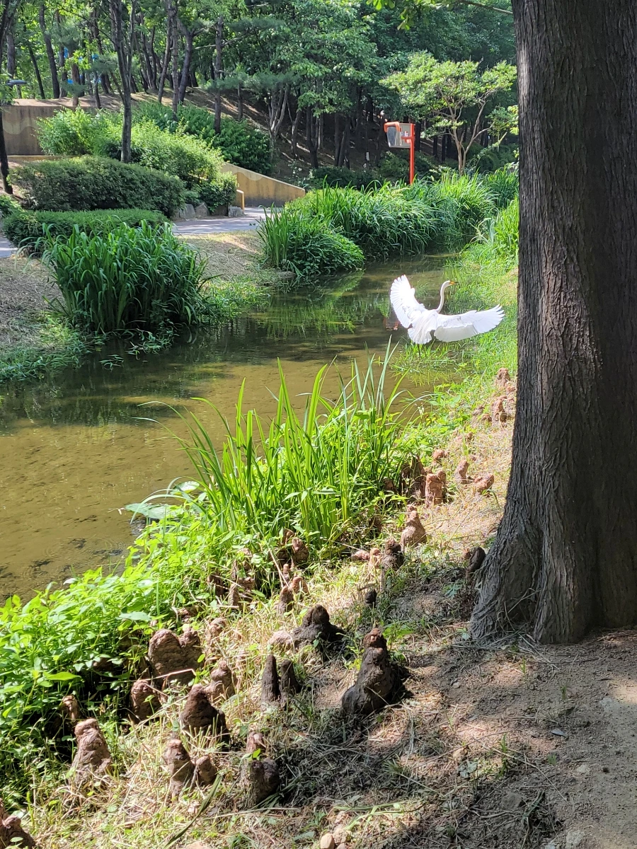 900%EF%BC%BF20250615%EF%BC%BF095709.jpg?type=w966