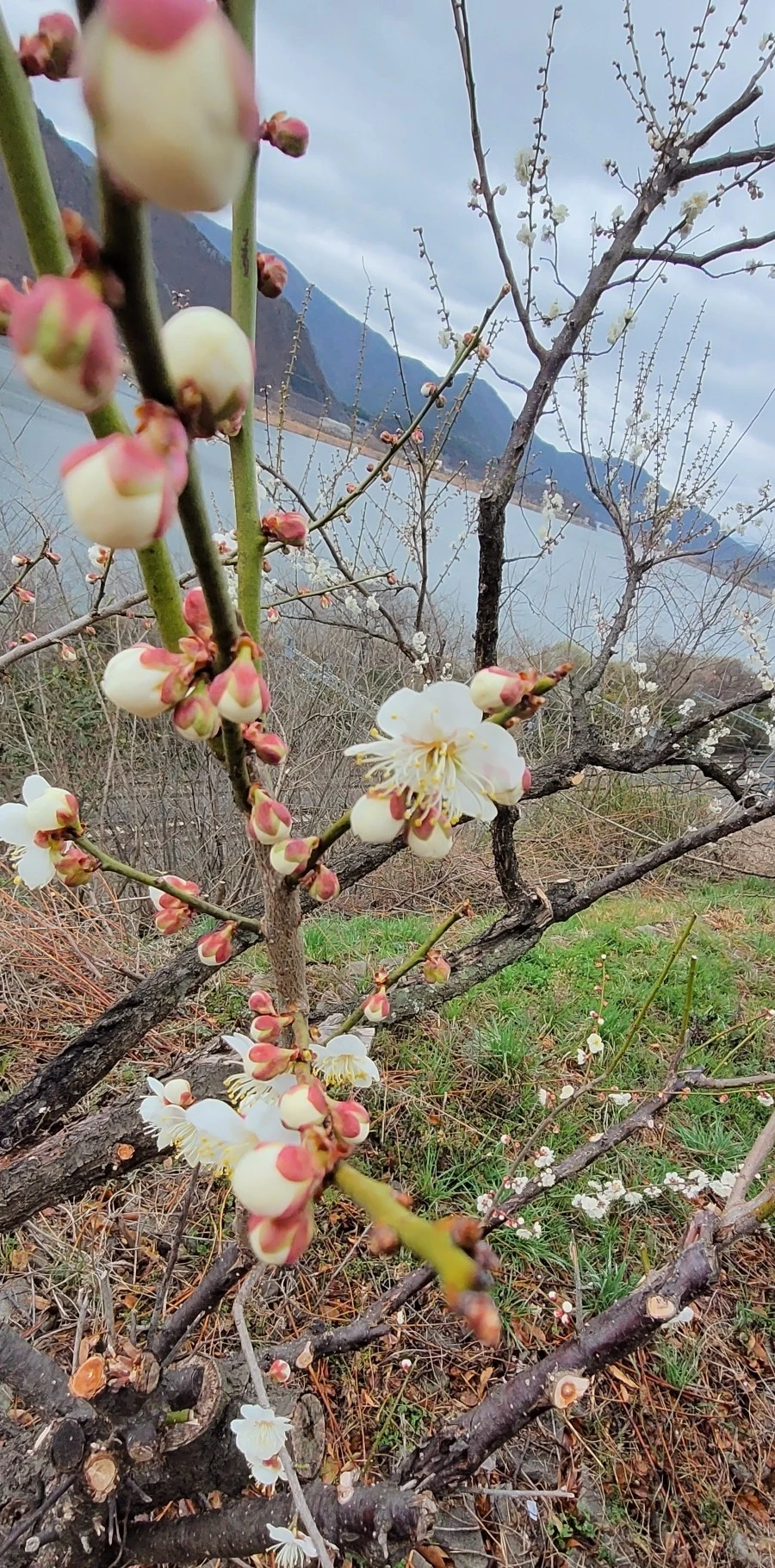 1742080673274.jpg?type=w966