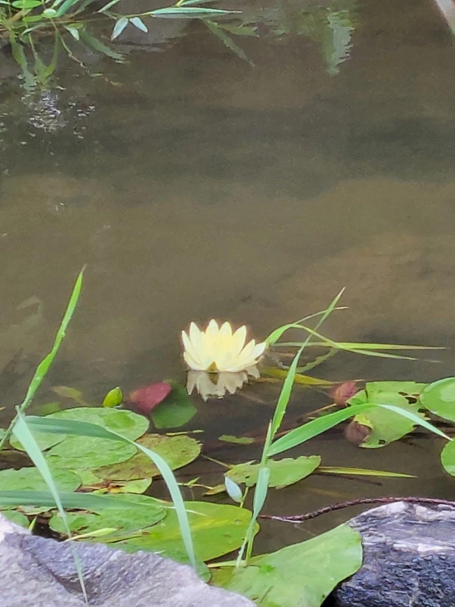 900%EF%BC%BF20250719%EF%BC%BF123607.jpg?type=w966