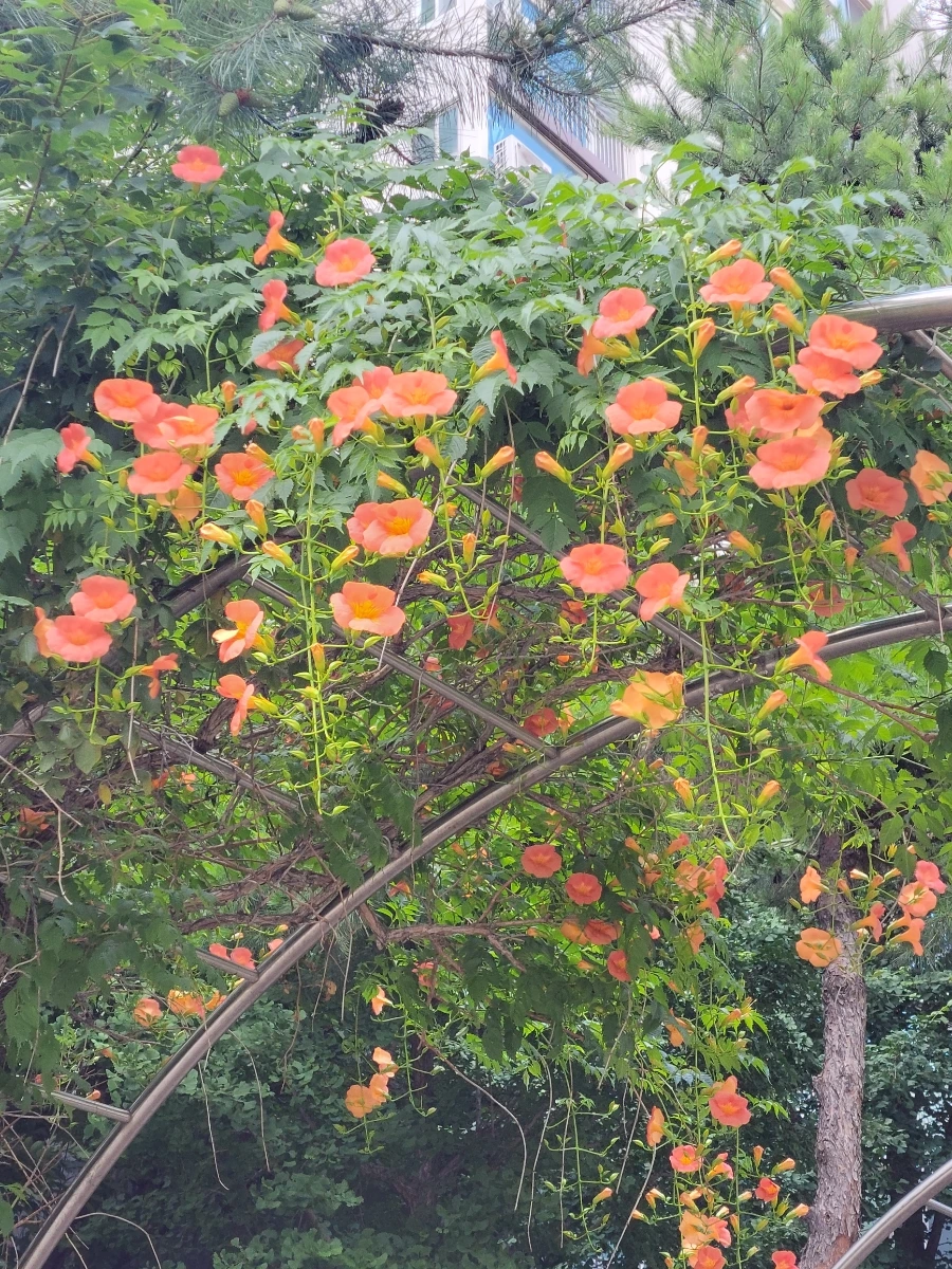 900%EF%BC%BF20250701%EF%BC%BF143346.jpg?type=w966