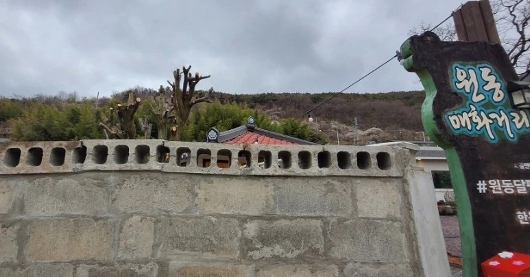 1742080833333.jpg?type=w966