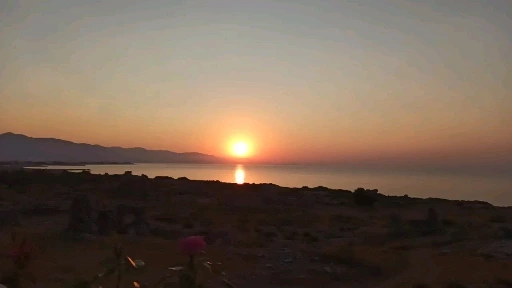 6251989_uploaded_7695272.jpg?type=w966