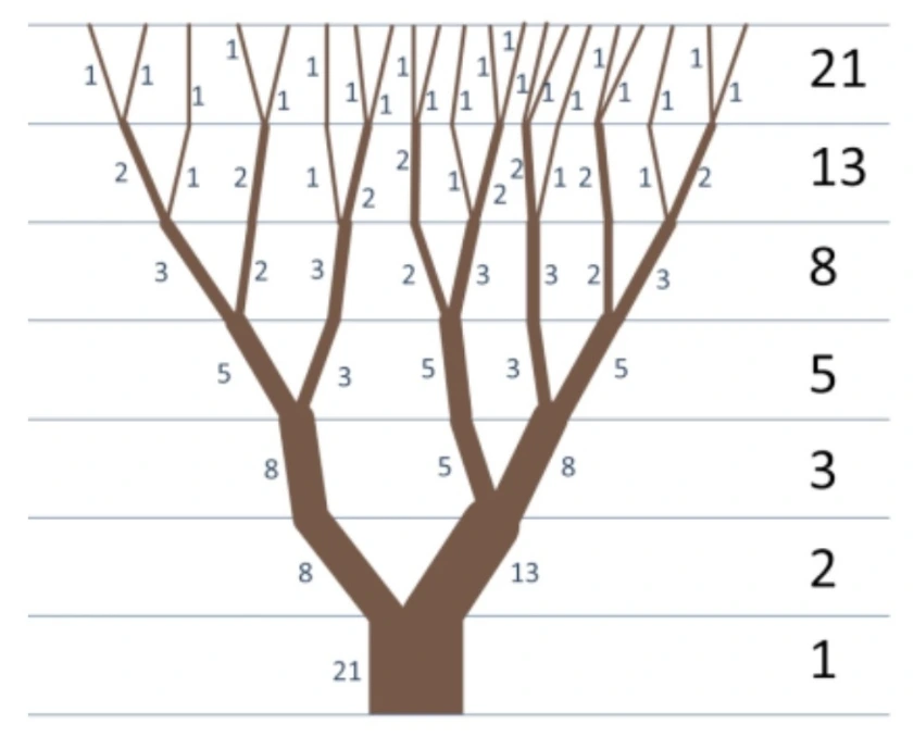 SE-20988017-5474-11f0-921e-0310bf588345.jpg?type=w966