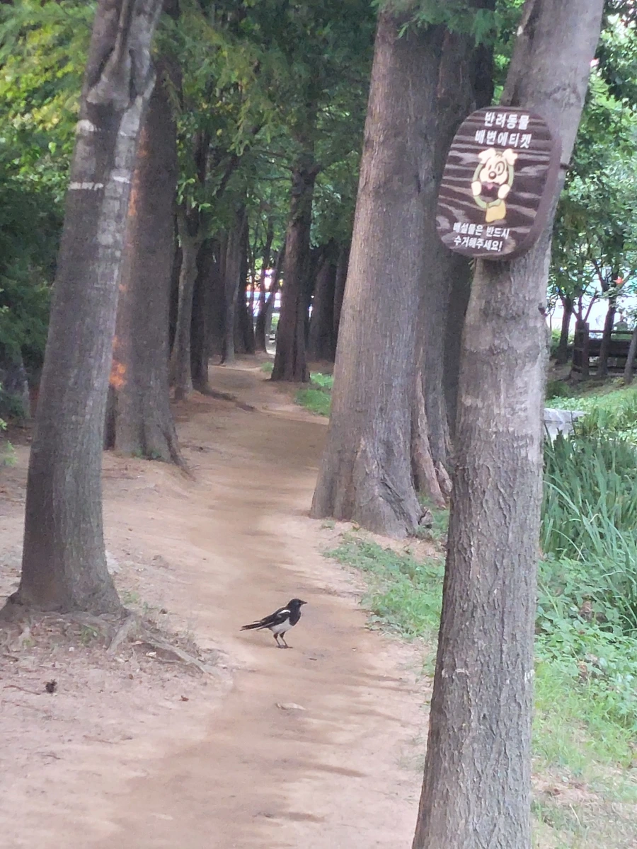 900%EF%BC%BF20250706%EF%BC%BF184245.jpg?type=w966