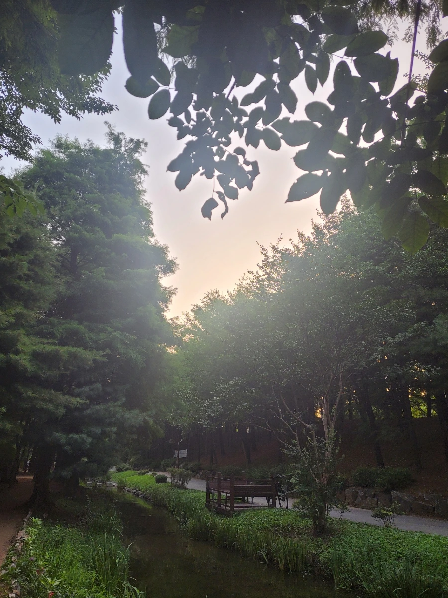 900%EF%BC%BF20250725%EF%BC%BF055027.jpg?type=w966