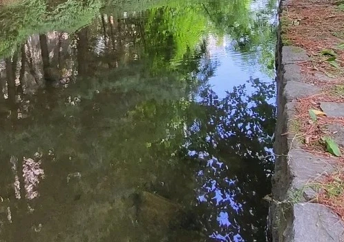 SE-e8ca5019-4631-11f0-9feb-65d7b953c7db.jpg?type=w966