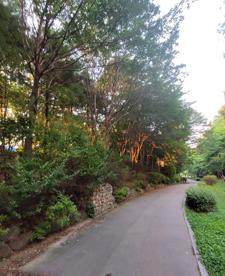 900%EF%BC%BF1753401323645.jpg?type=w966