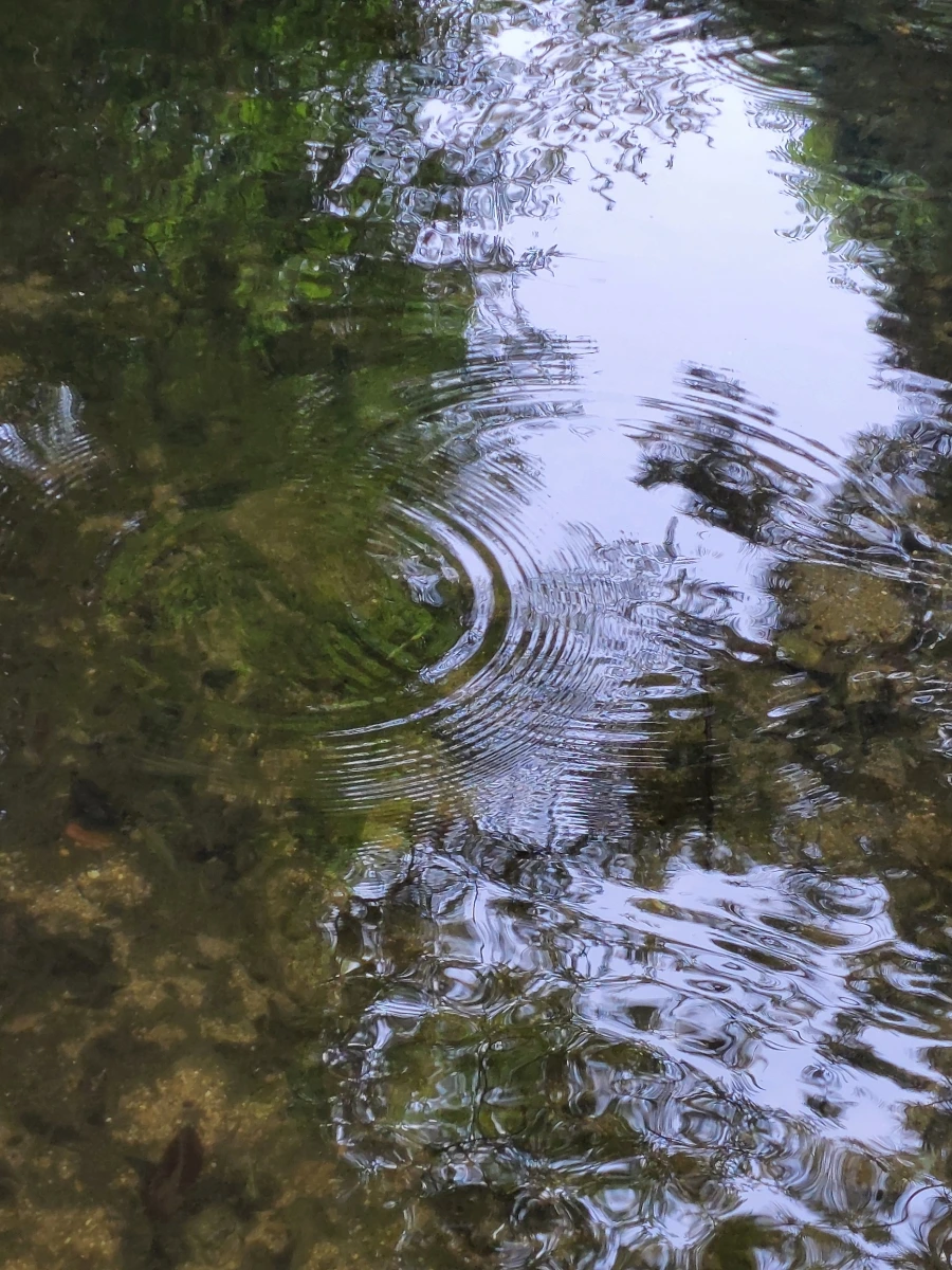 900%EF%BC%BF20250613%EF%BC%BF100322.jpg?type=w966