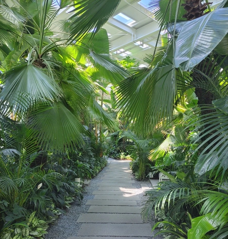 1753857269996.jpg?type=w966