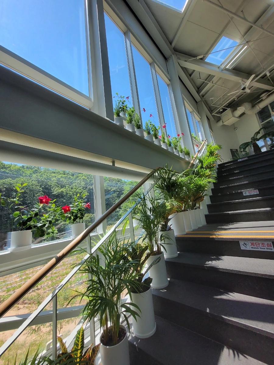 900%EF%BC%BF20250727%EF%BC%BF132431.jpg?type=w966