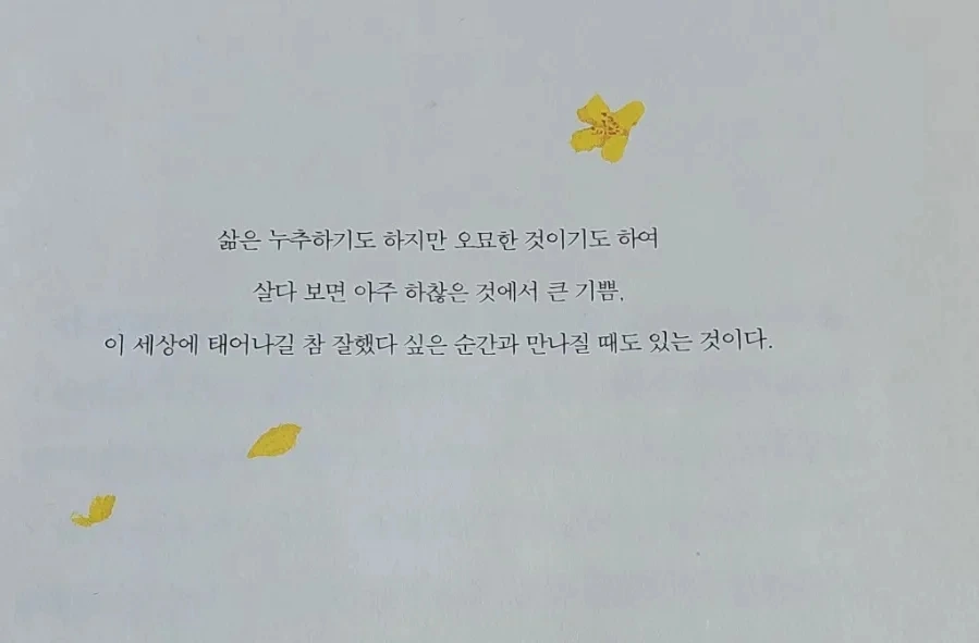 900%EF%BC%BF1741470609241.jpg?type=w966